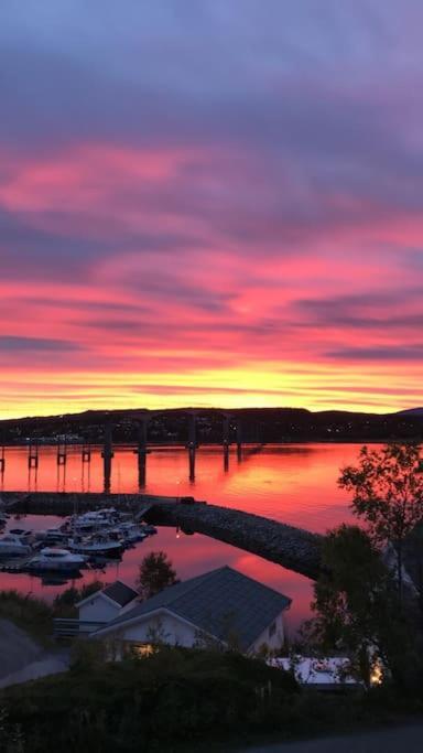 Gateway Senja Daire Finnsnes Dış mekan fotoğraf